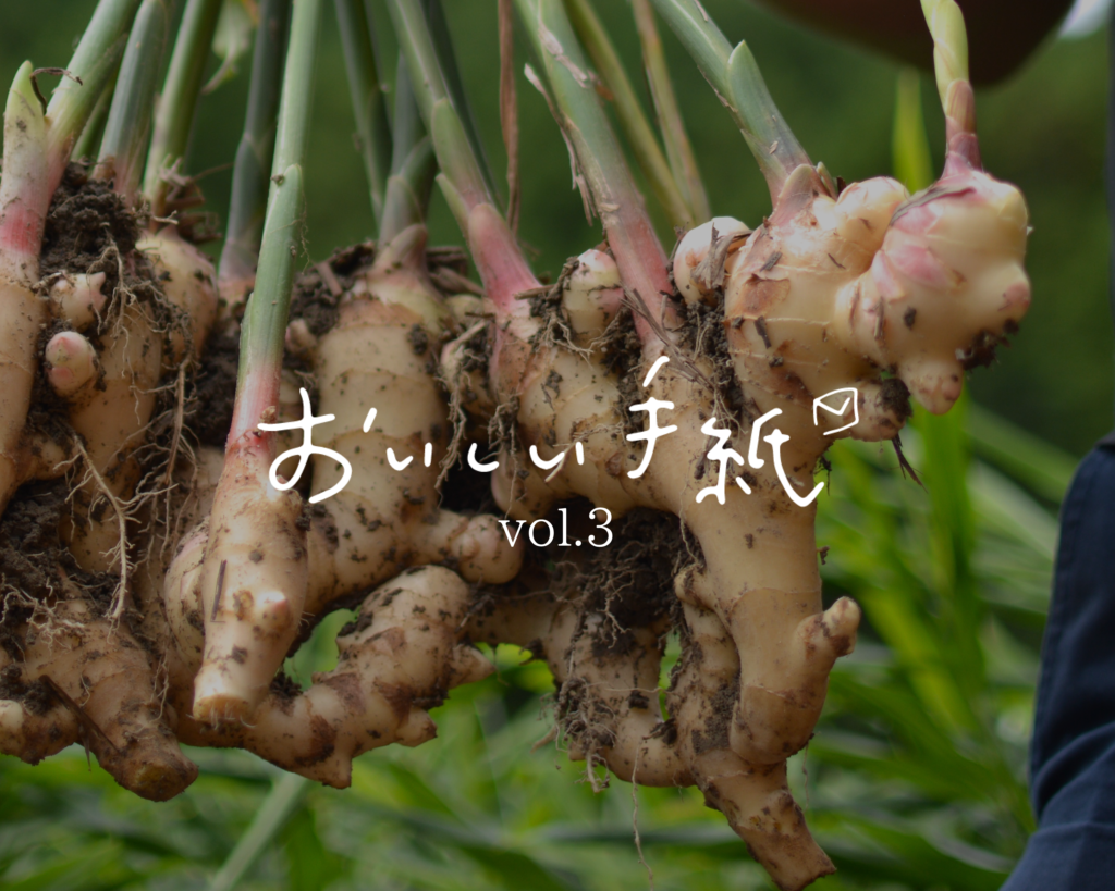 おいしい手紙 vol.3 農を生業に生きる。安田さんの新しょうが(丸正酢上寿しの酢付き)【10/22-24到着】